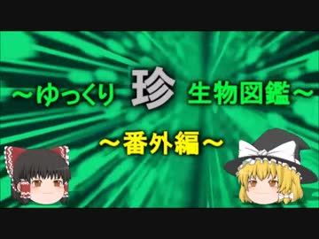 ～ゆっくり　珍　生物図鑑～　新・番外編【4】