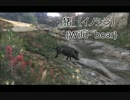 【GTA5】動物図鑑「イノシシ」【PS4】