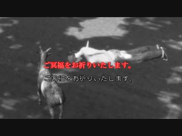 【擬似実況】島国で( 言д言)俺、今日もヤギになるわ【APヘタリア】