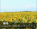 【幻想入り】妖怪に育てられた人間が幻想入り　第五話