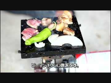 おっさんが送料税込み５００円の溶岩プレートでＢＢＱしてるだけの動画