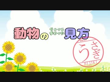 【VOICEROID非実況動画祭】動物のちょっと変わった見方　うさぎ