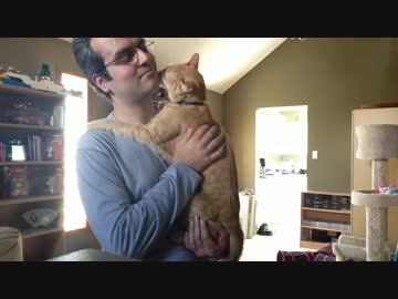 赤ちゃんのように甘える猫