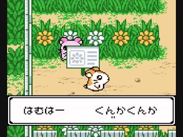 こっ↑ここ↓ハム太郎2　ハムちゃんず大集合でちゅ.mp2