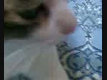 ドアップミーちゃん