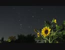 GLAY 夏音を弾いてみた