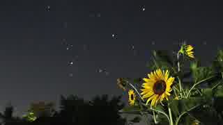 GLAY 夏音を弾いてみた