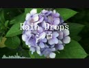 Rain Drops