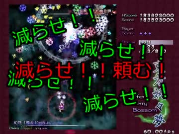 【実況】東方を２ミリも知らない僕が弾幕STGに挑戦【妖々夢】 7