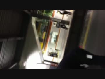 シャムおばさん、電車から叩き出される