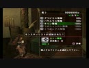 無印モンスターハンター　なつかしのミナガルデ