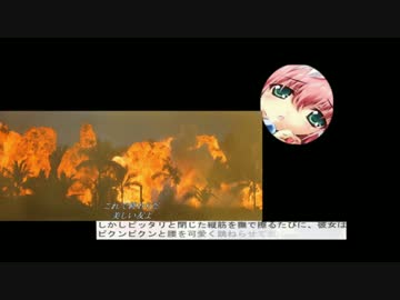 キタキタ ぬわああ ｲｸﾞｯ アッ↑コ↓.mp1.5再再々投稿
