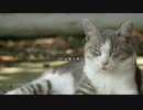 【心霊ちょっといい話part1】その52 引止め工作