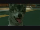 【MGSV】D-Dogを観察【TPP】