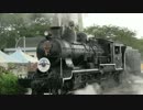 【梅小路蒸気機関車館閉館】スチーム号最終運行と転車台回転