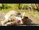 【心霊ちょっといい話part1】その53 逢いに来てくれ