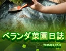 ベランダ菜園日誌　2015年9月5日