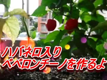 ハバネロ入りペペロンチーノを作るよ