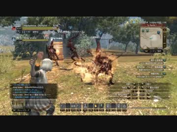 【DDON】ポーンが仲間になっただけ