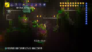 【テラリア】日刊・テラリア実況　その８４７【公式企画参加】