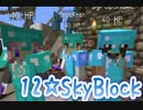 SkyBlock～島は破壊されるもの～No.12
