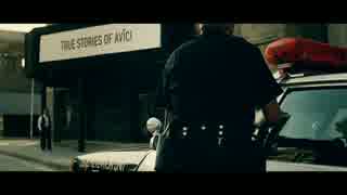 人気の Avicii 動画 494本 4 ニコニコ動画