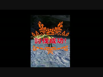 【MHXR】ベリオロス上級　ソロ