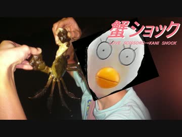 鯰を釣りに行ったら巨大なモクズガニ先輩に遭遇した