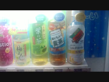 【初めてのソロキャンプ】10分の1自給自足生活 part4