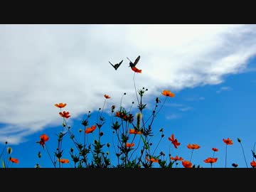 ST250 夏のツーリング その2