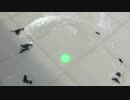 pointeur laser vert 10000mw