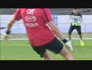 【GKトレーニング】   ウーゴ・ロリス  (フランス代表・トッテナム所属)