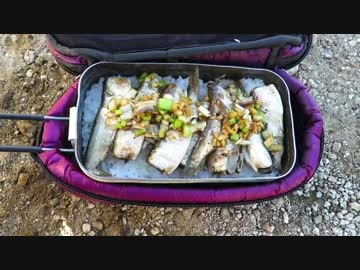 キャンプするのがアウトドアマンってことでいいよね　3泊目