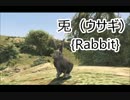 【GTA5】動物図鑑「ウサギ」【PS4】
