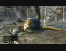 【DDON】ハンター　ソロ　妖歌のローレライ戦