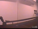 【うたスキ動画】EXIT→RUNNING／林原めぐみ【歌ってみた】