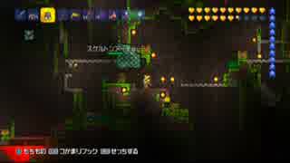 【テラリア】日刊・テラリア実況　その８４８【公式企画参加】