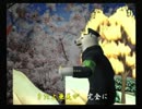 くまうた　（3937）「楽になってきたかな？」　唄：嵐山クマ男（夫)