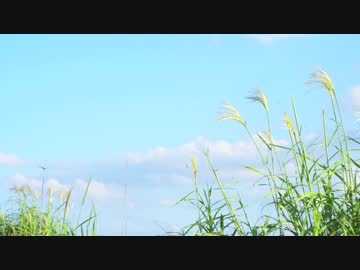 凛【オリジナルインスト曲】