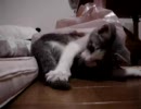ナテコ050809