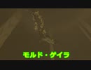 【トゥーンな世界を冒険】ゼルダの伝説　風のタクトHD　Part23
