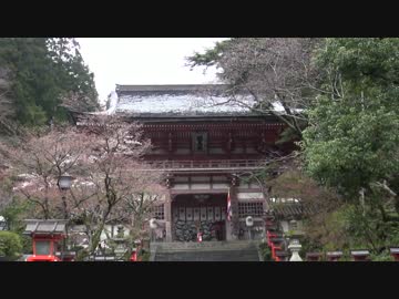 駅巡り (296) 鞍馬山索道鉄道 山門駅-多宝塔駅