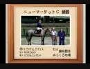【１日１本】ダビスタ９９番外編その１０【実況ＵＰ】