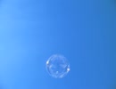 君がいないから ／ 安全地帯