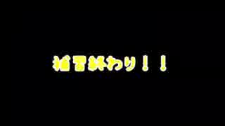 【終わりの会】そうまとみなみの歯車集め日誌【補１４】