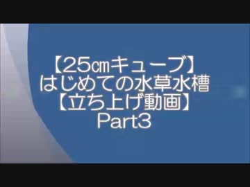 【25㎝キューブ】はじめての水草水槽【立ち上げ動画】Part3