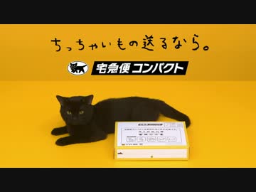 クロネコ、専用BOXを組み立ててみた