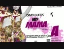 David Guetta -  Hey Mama (DeeJaaY Sanlos Edit Remix) - from YouTube