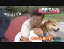 救助の女性「犬は置いてこられなかった」 鬼怒川が決壊