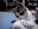 ナテコ050925その1